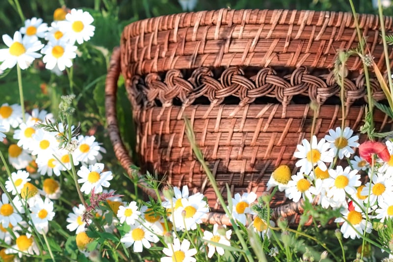 Boho Elegance